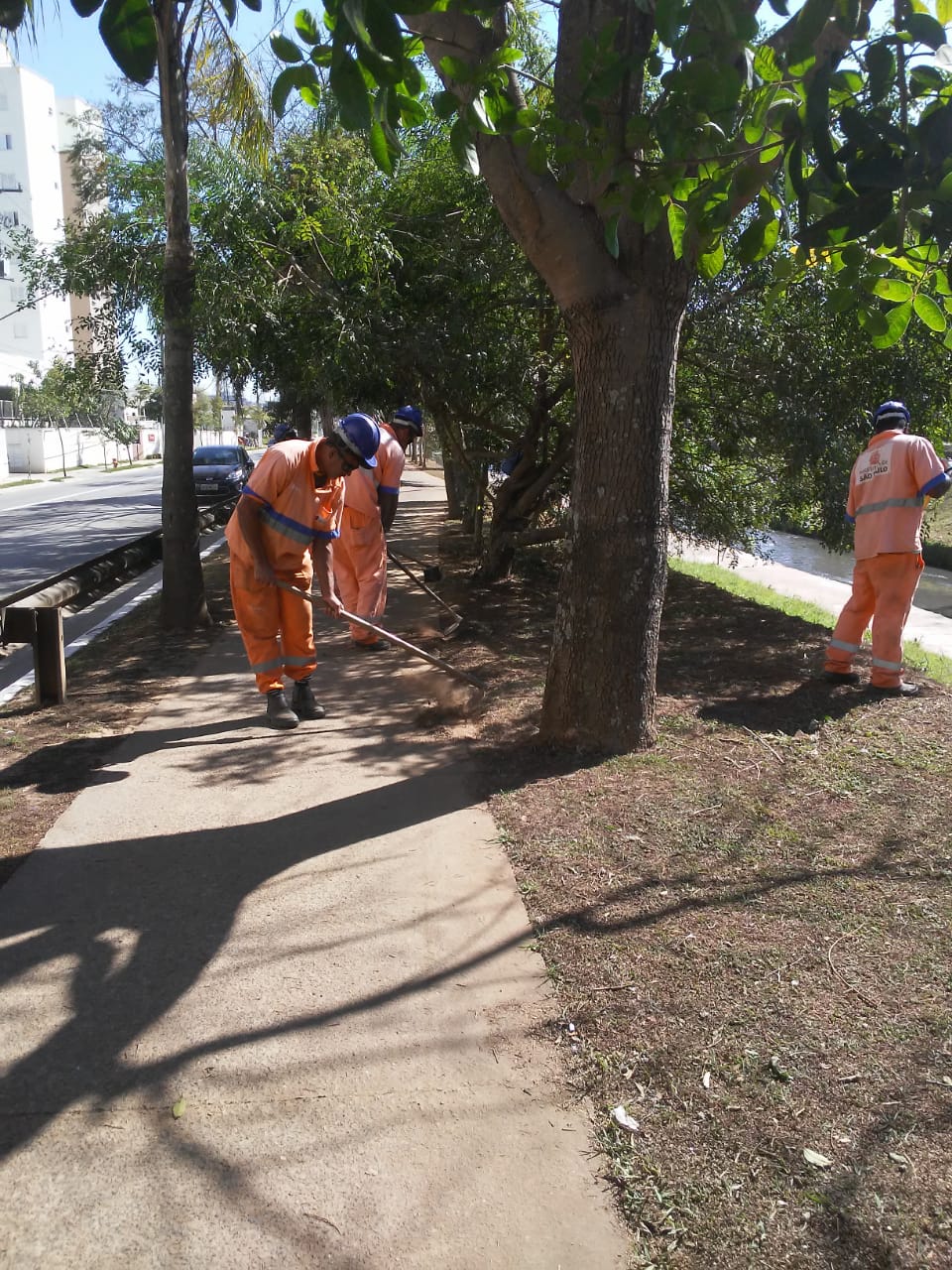 Três funcionários capinando a grama em volta das árvores do canteiro da Avenida Aricanduva.